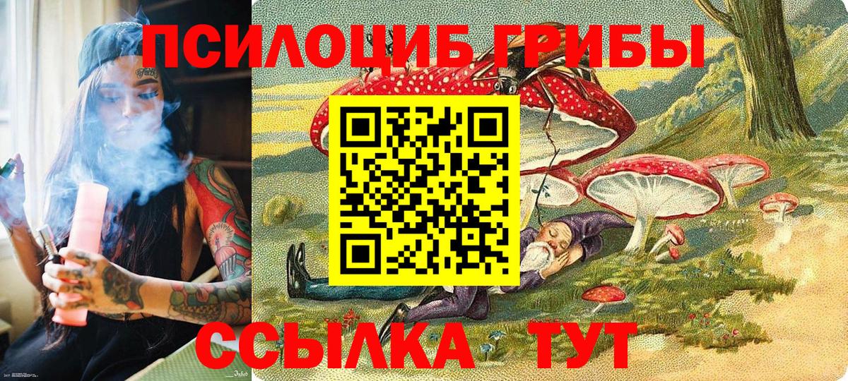 Подольск  Галлюциногенные грибы мухоморы  Вход с VPN 