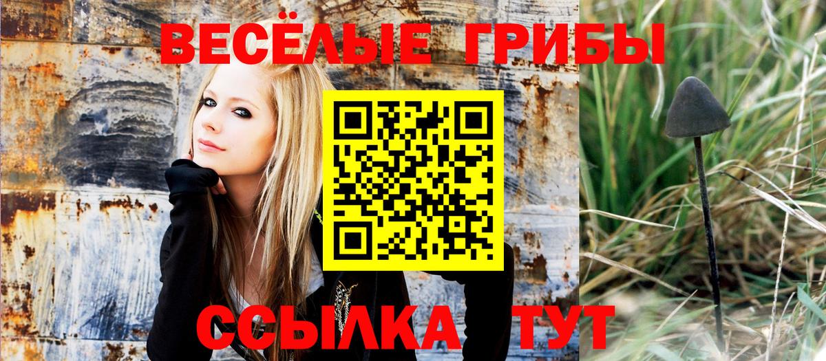 Галлюциногенные грибы мицелий Подольск